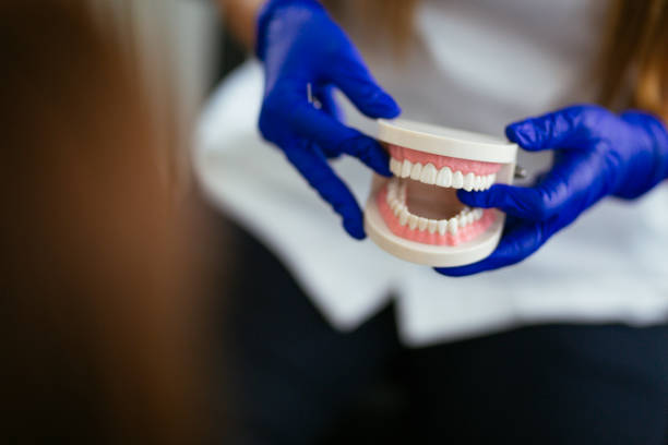 Why Choose Us for Your Dental Needs in Chelsea, MI